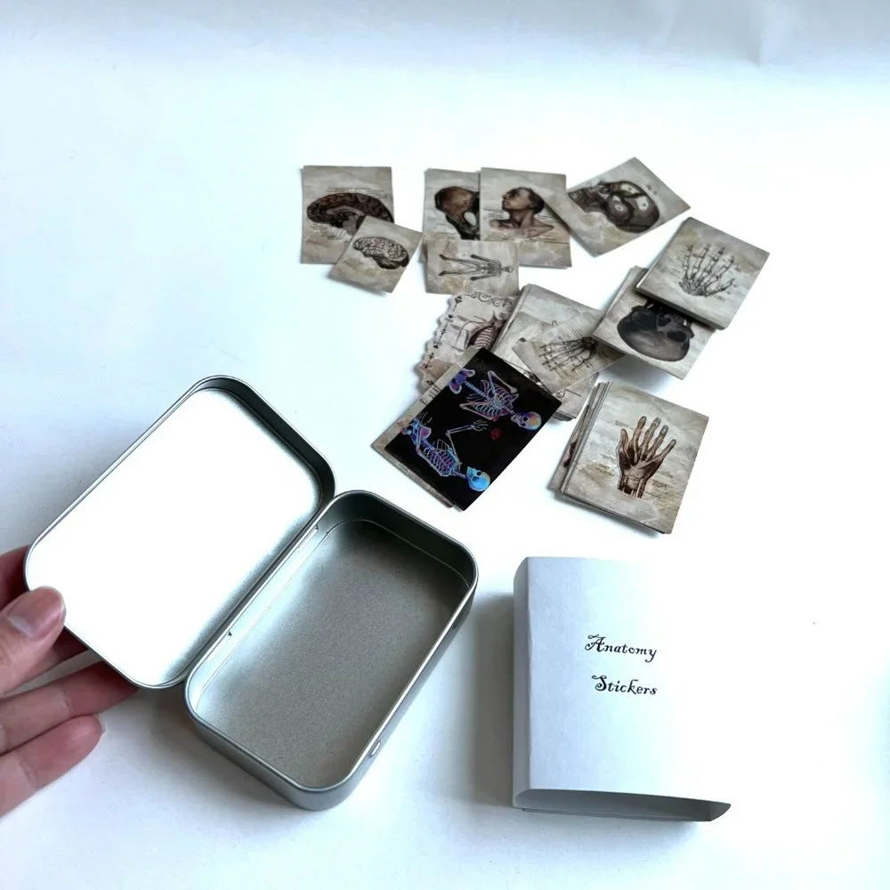 Anatomy Stickers Waterproof with Tin Box